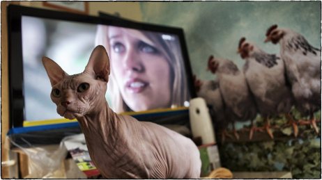 10708679_300880690099207_67053671388704101_o