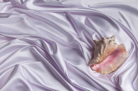 Zoe Williams - You Consume Me I, 2013