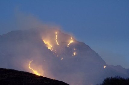 976698_510199_460x306