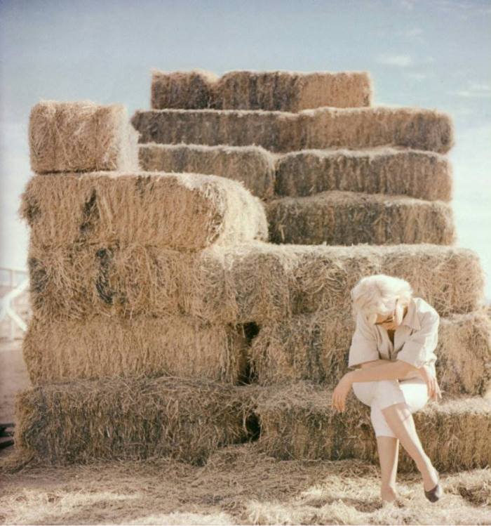 Marilyn Monroe by Milton Greene- 1953.jpg