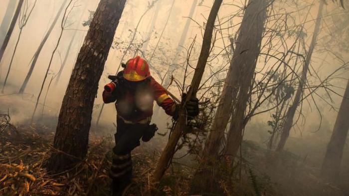 Miguel Riopa - AFP.jpg