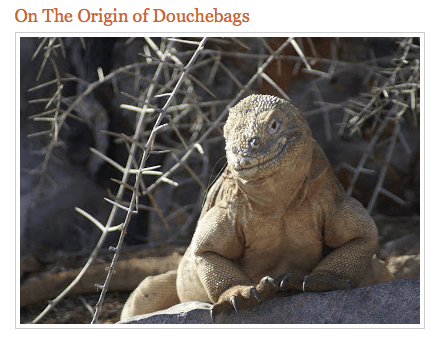 Capture d’écran 2016-08-08 à 16.54.51.png