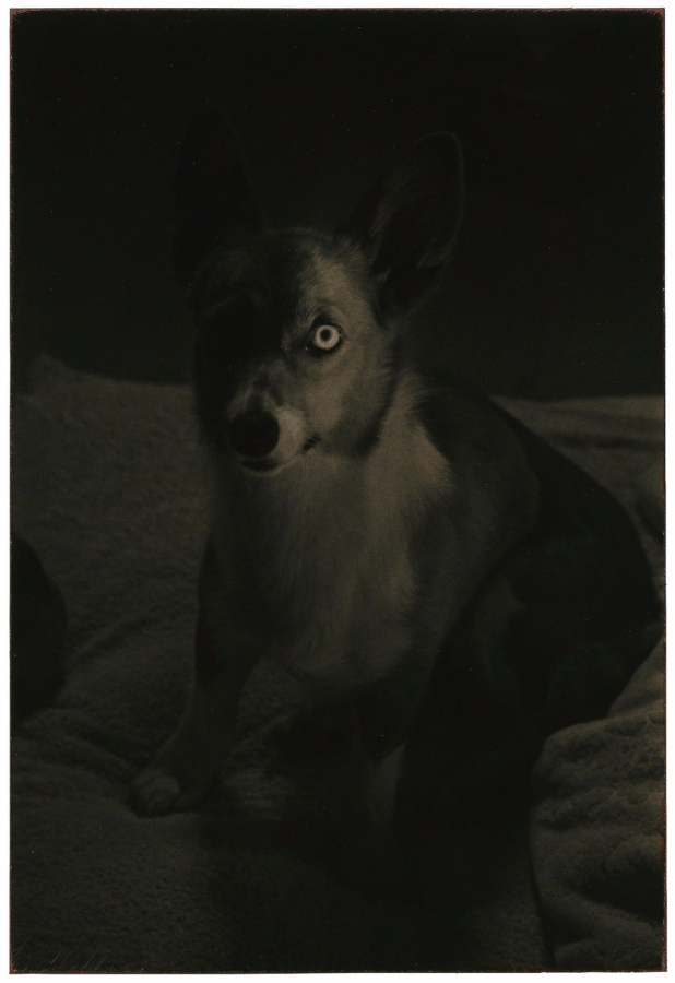 024-masao-yamamoto-theredlist.png